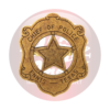 Insignia 110