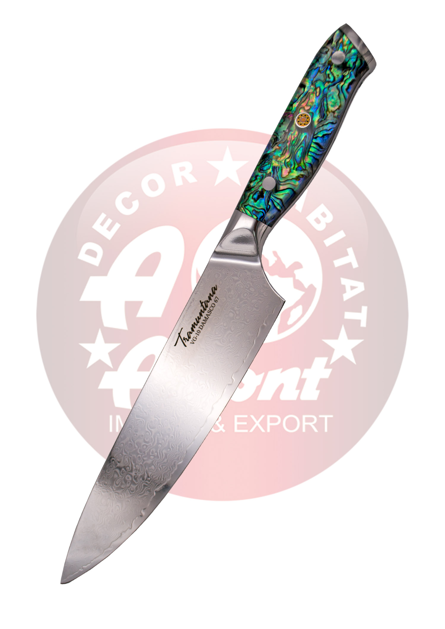 Cuchillo Chef CD10